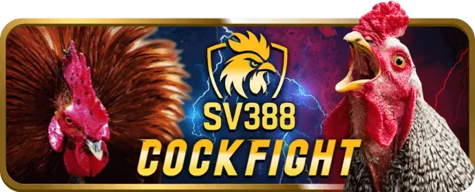 Người chơi đang xem tỷ lệ cược bóng đá trên 98win Thể Thao